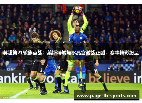 英超第21轮焦点战：莱斯特城与水晶宫激战正酣，赛事精彩纷呈