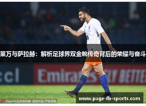 莱万与萨拉赫：解析足球界双金靴传奇背后的荣耀与奋斗