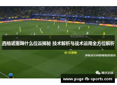 西格诺里踢什么位置揭秘 技术解析与战术运用全方位解析