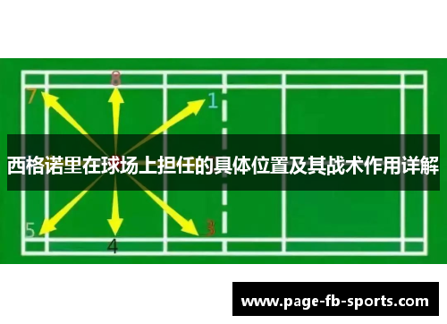 西格诺里在球场上担任的具体位置及其战术作用详解